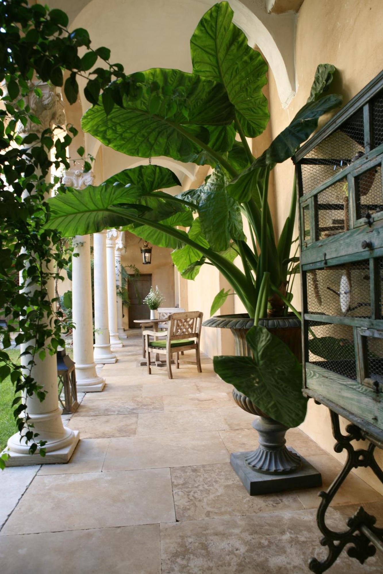 Jardins Secrets Otel Nîmes Dış mekan fotoğraf